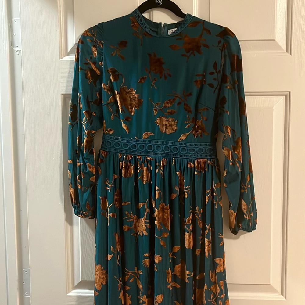 Roolee polygram maxi velvet detail dress